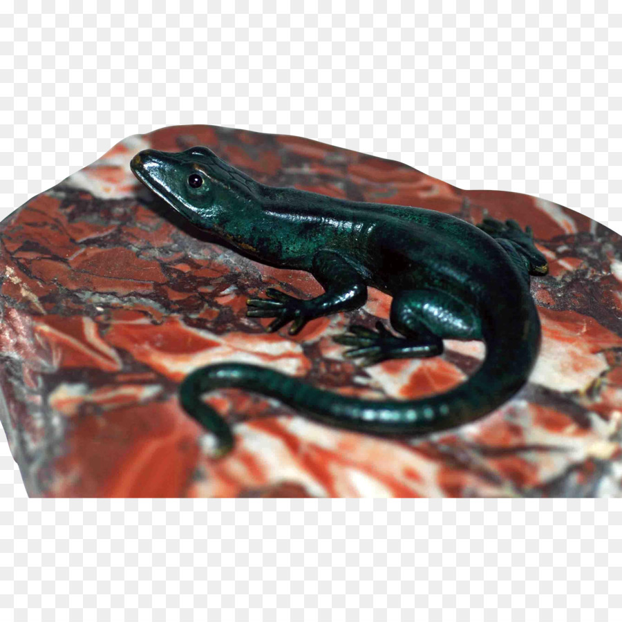 Reptiles， PNG