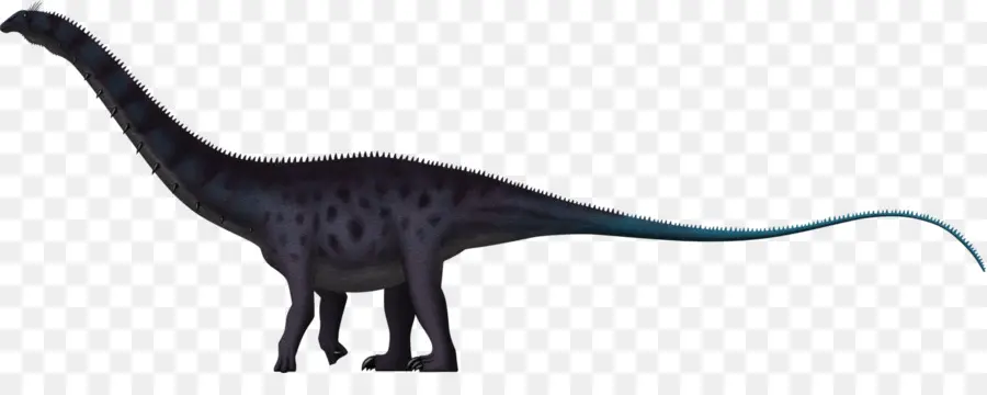 Apatosauro，Brachiosaurus PNG