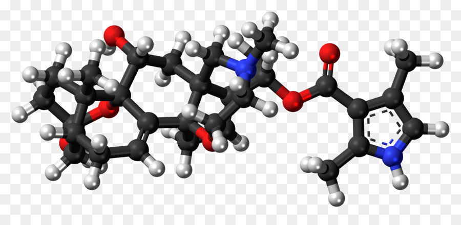 Rana，Batrachotoxin PNG