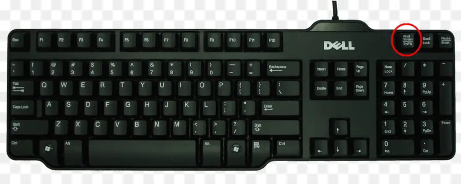 Teclado，Dar A Luz PNG