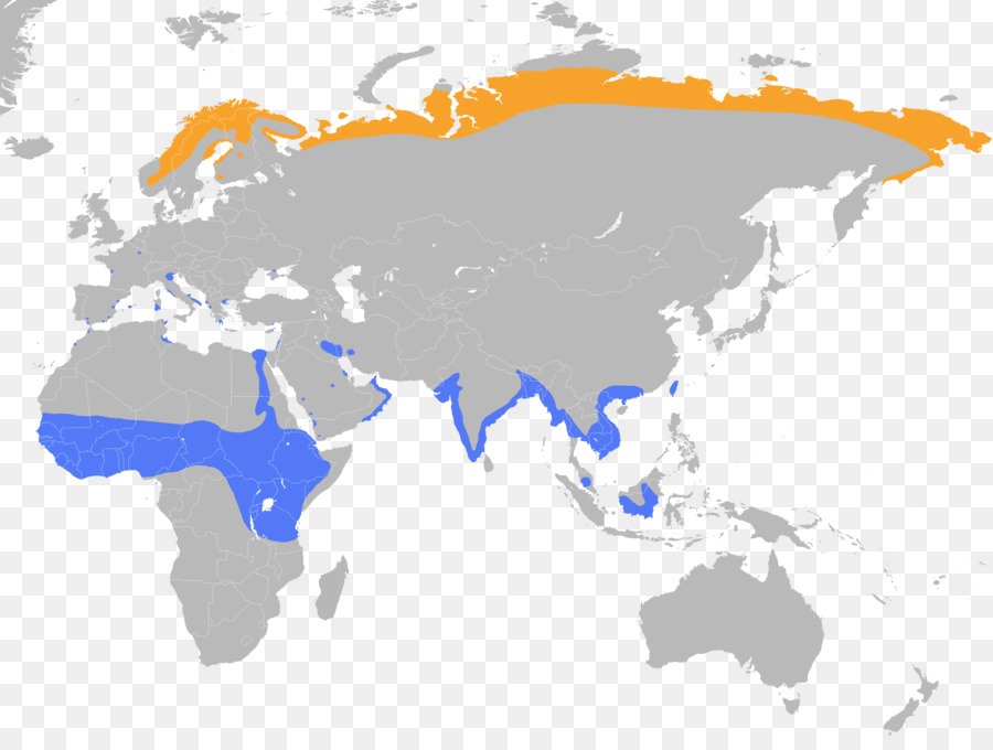 Japón，Mapa Del Mundo PNG