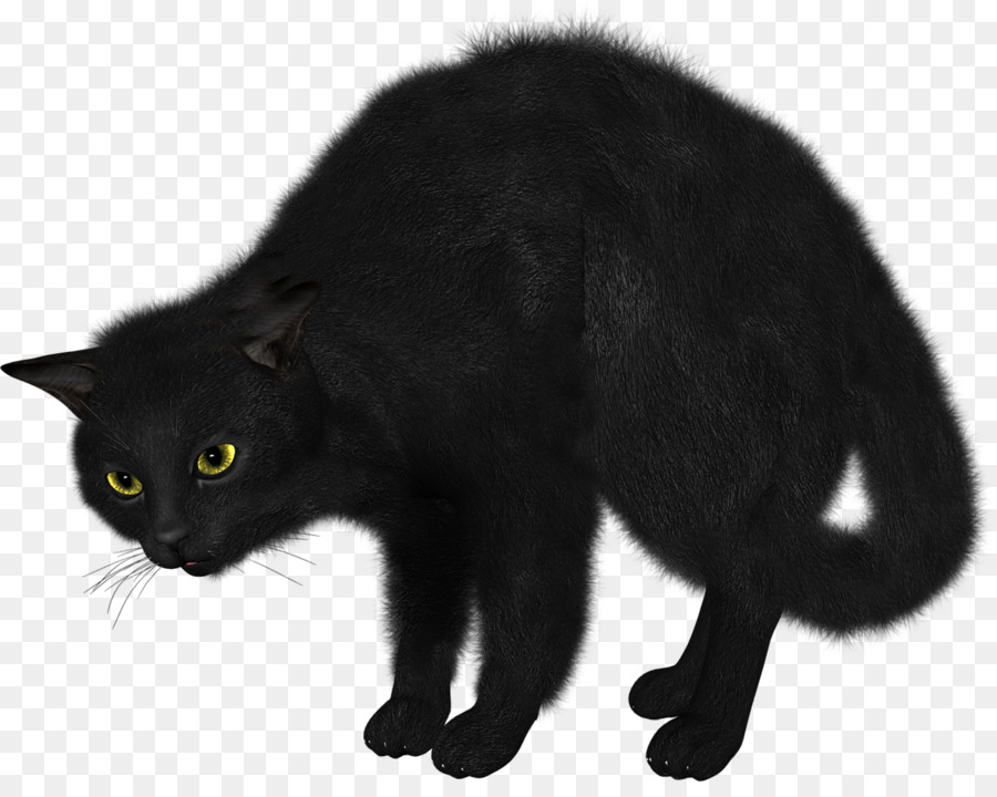 Gato Negro，Pelo PNG