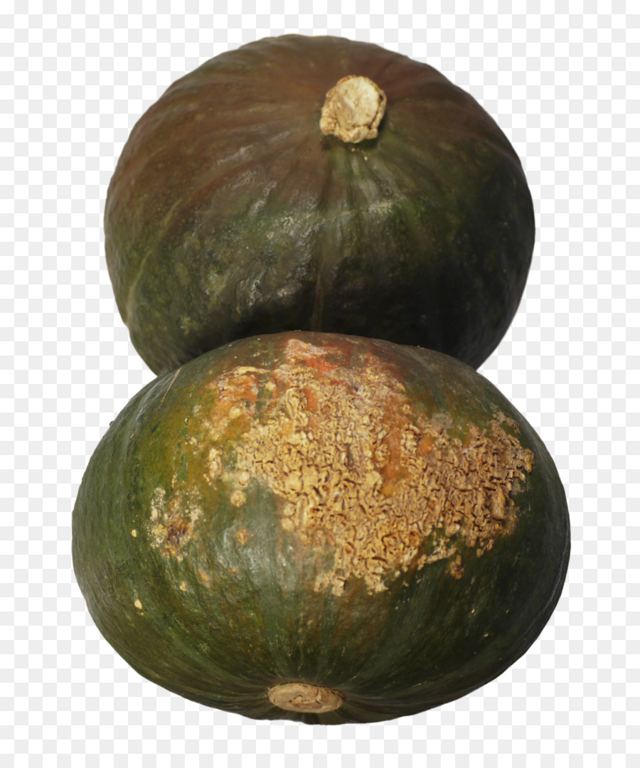 Calabazas Verdes，Alimento PNG