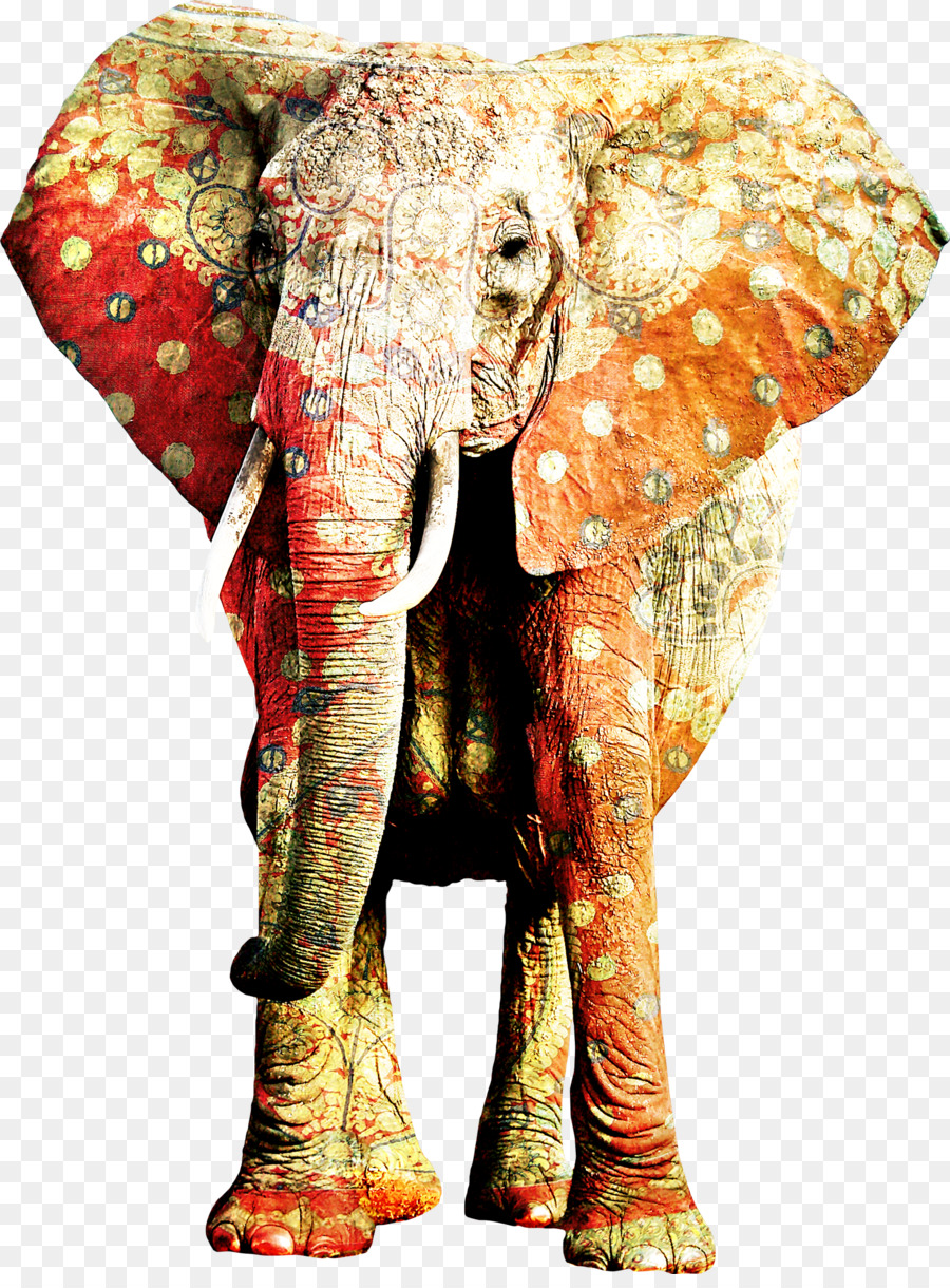 Elefante，Vistoso PNG