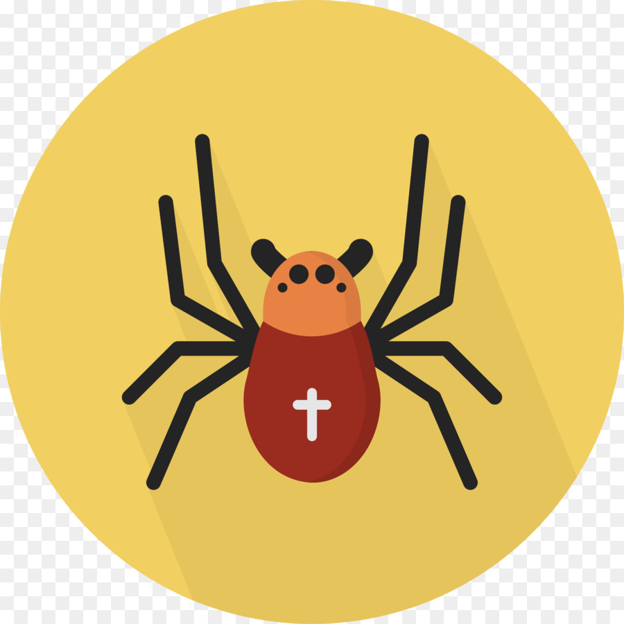 Araña，Iconos De Equipo PNG