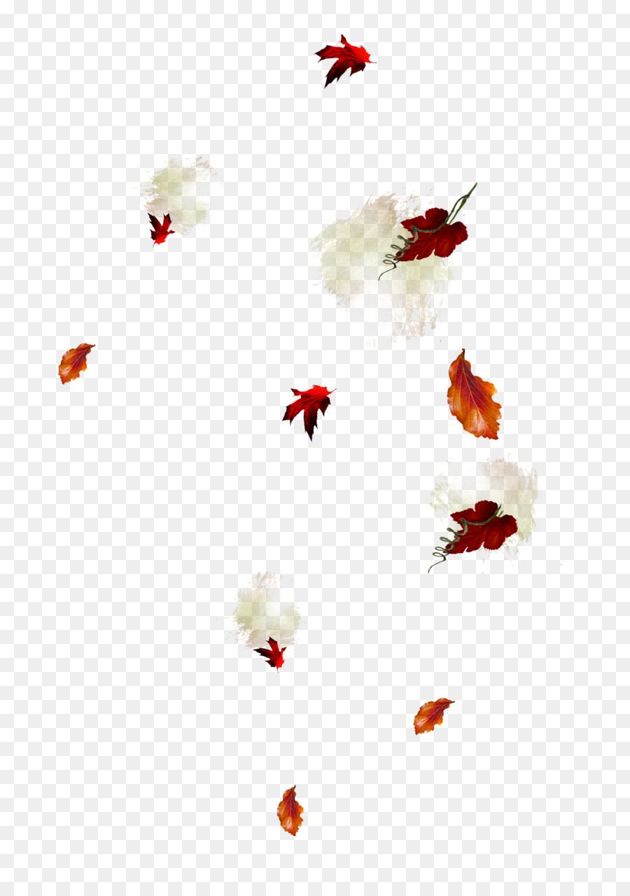 Hojas De Otoño，Caer PNG