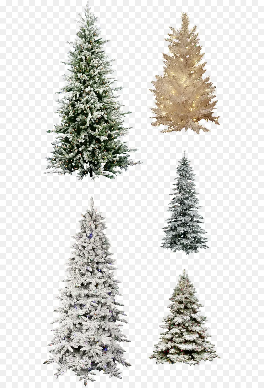 árbol De Navidad，árbol PNG