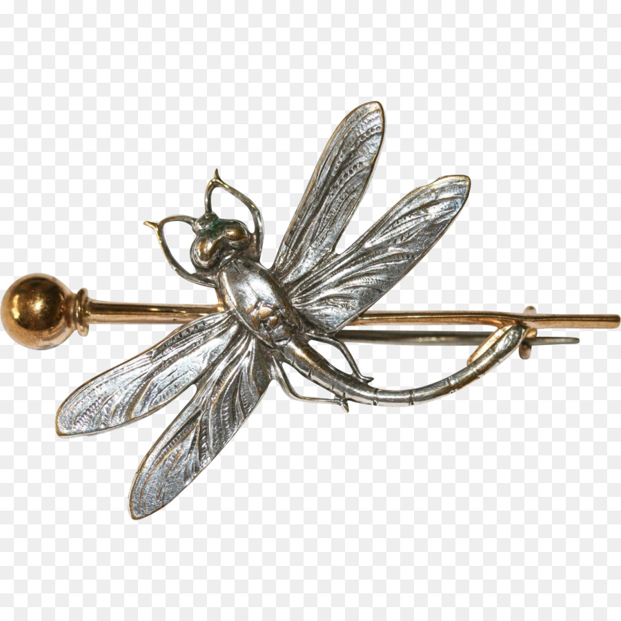 Los Insectos，Joyería PNG