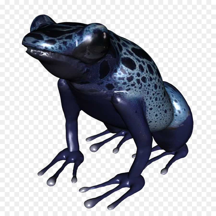 Ranas Azules，Ranas PNG