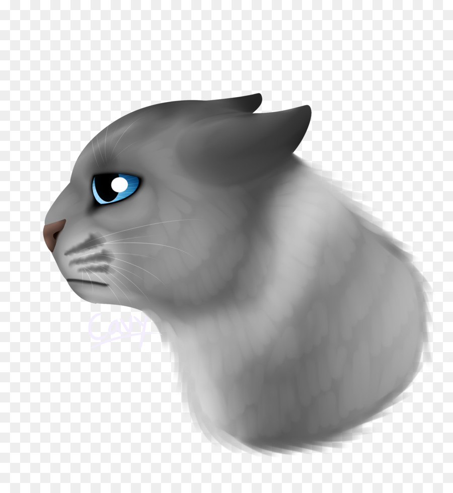 Gatito，Manx Cat PNG