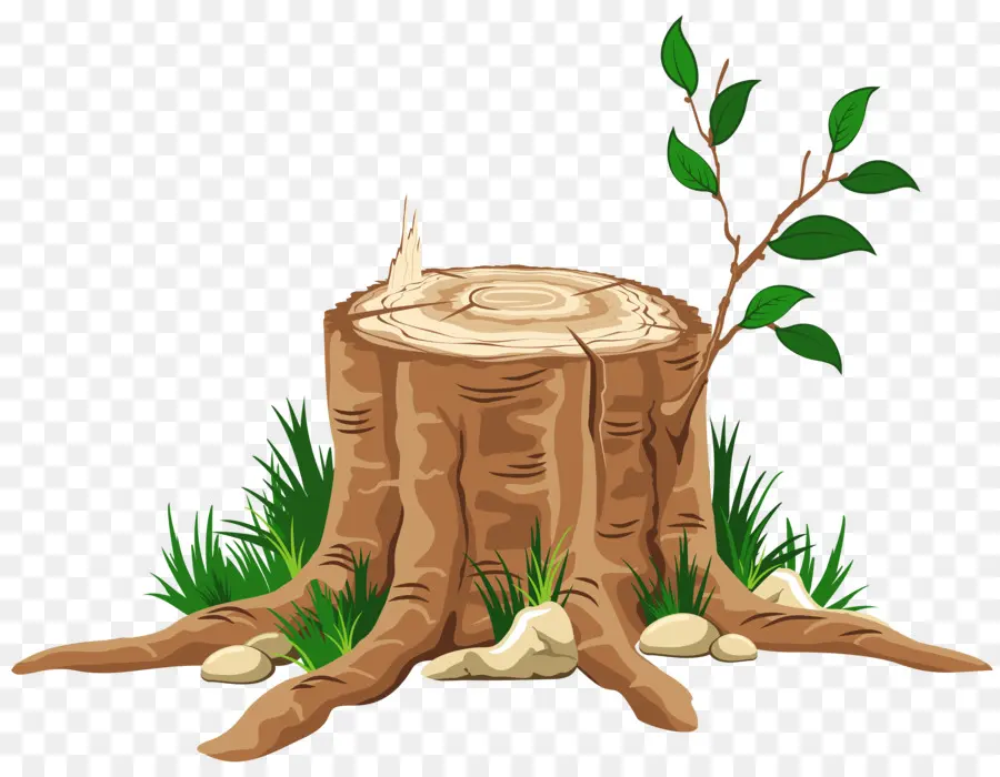 árbol De Jesé，Evangelio De Mateo PNG