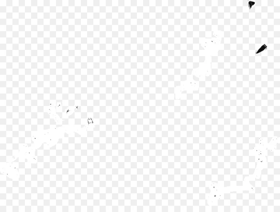 Monocromo De La Fotografía，Monocromo PNG