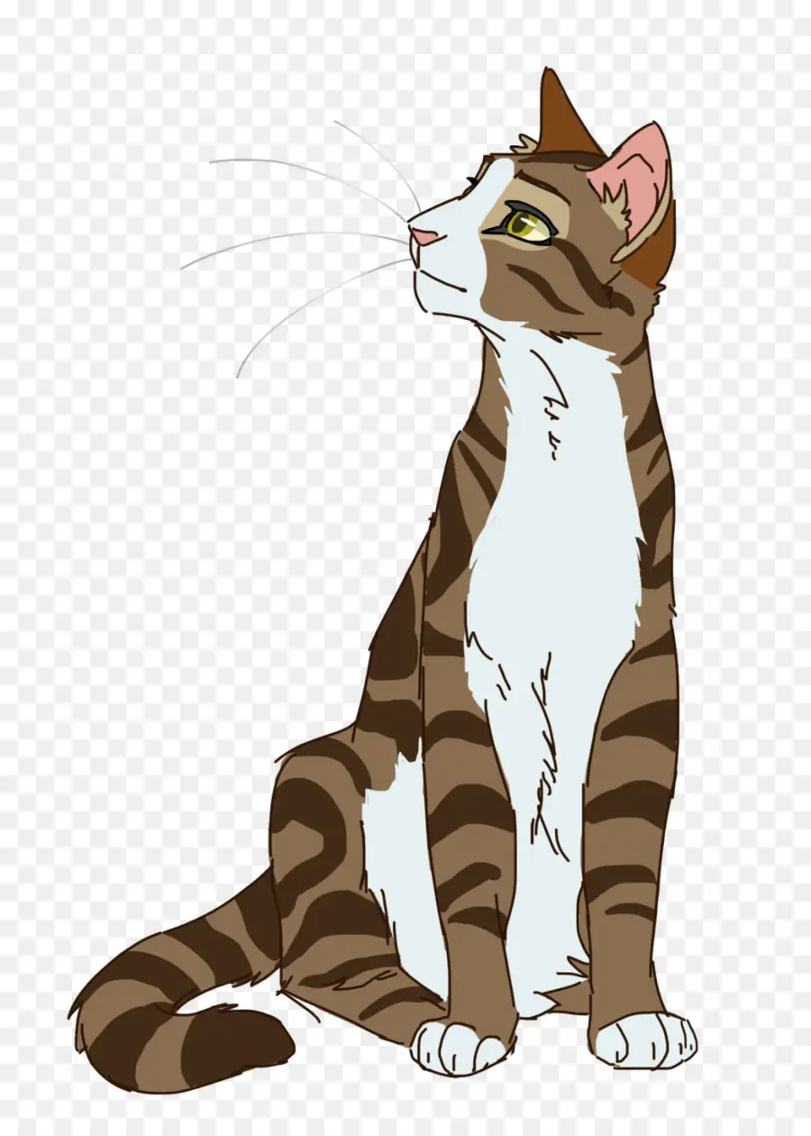 Gato，Guerreros PNG