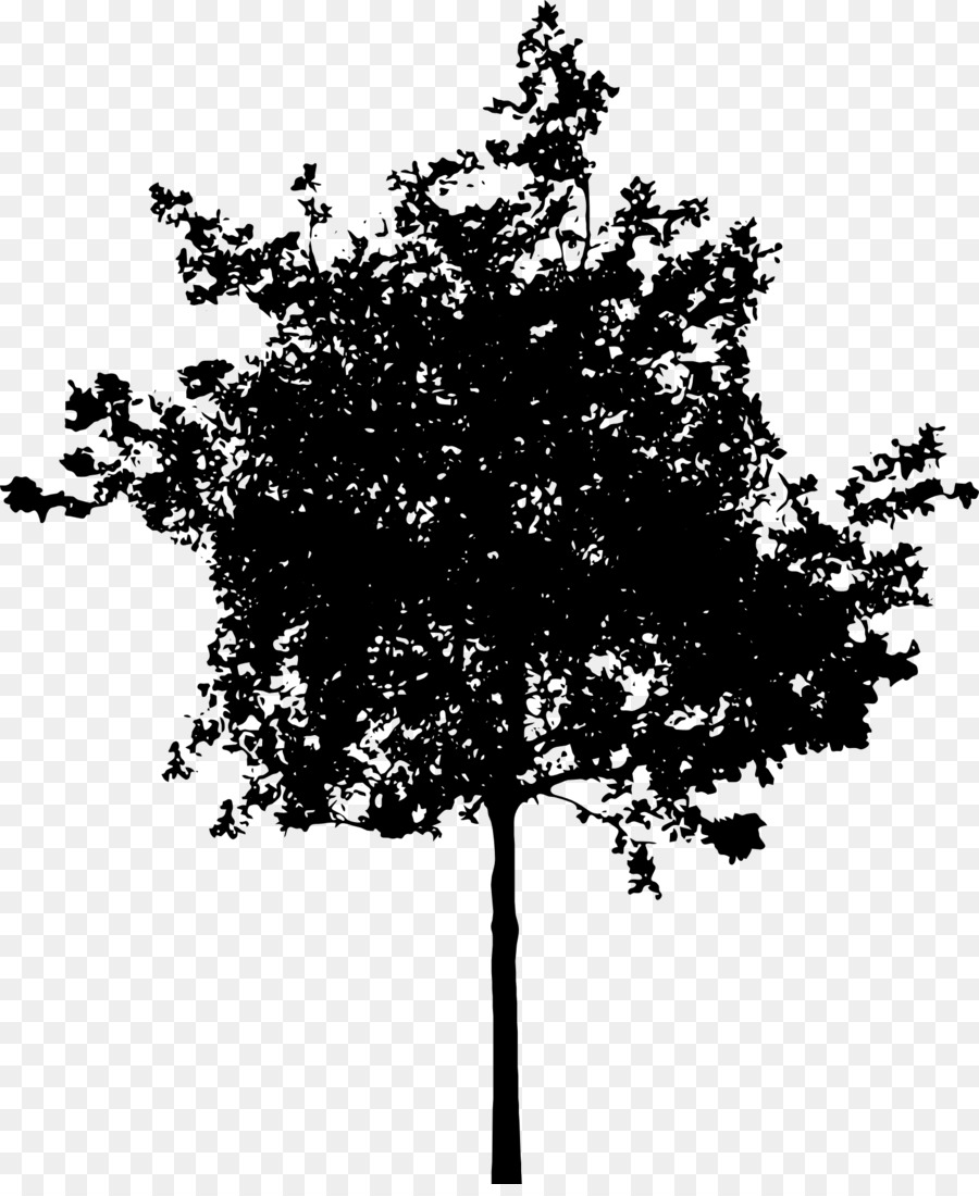 Árbol，Silueta PNG