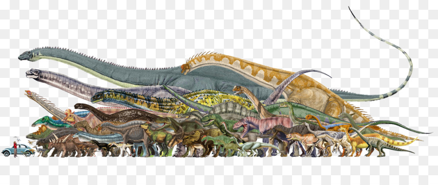 Tyrannosaurus，Reptiles PNG