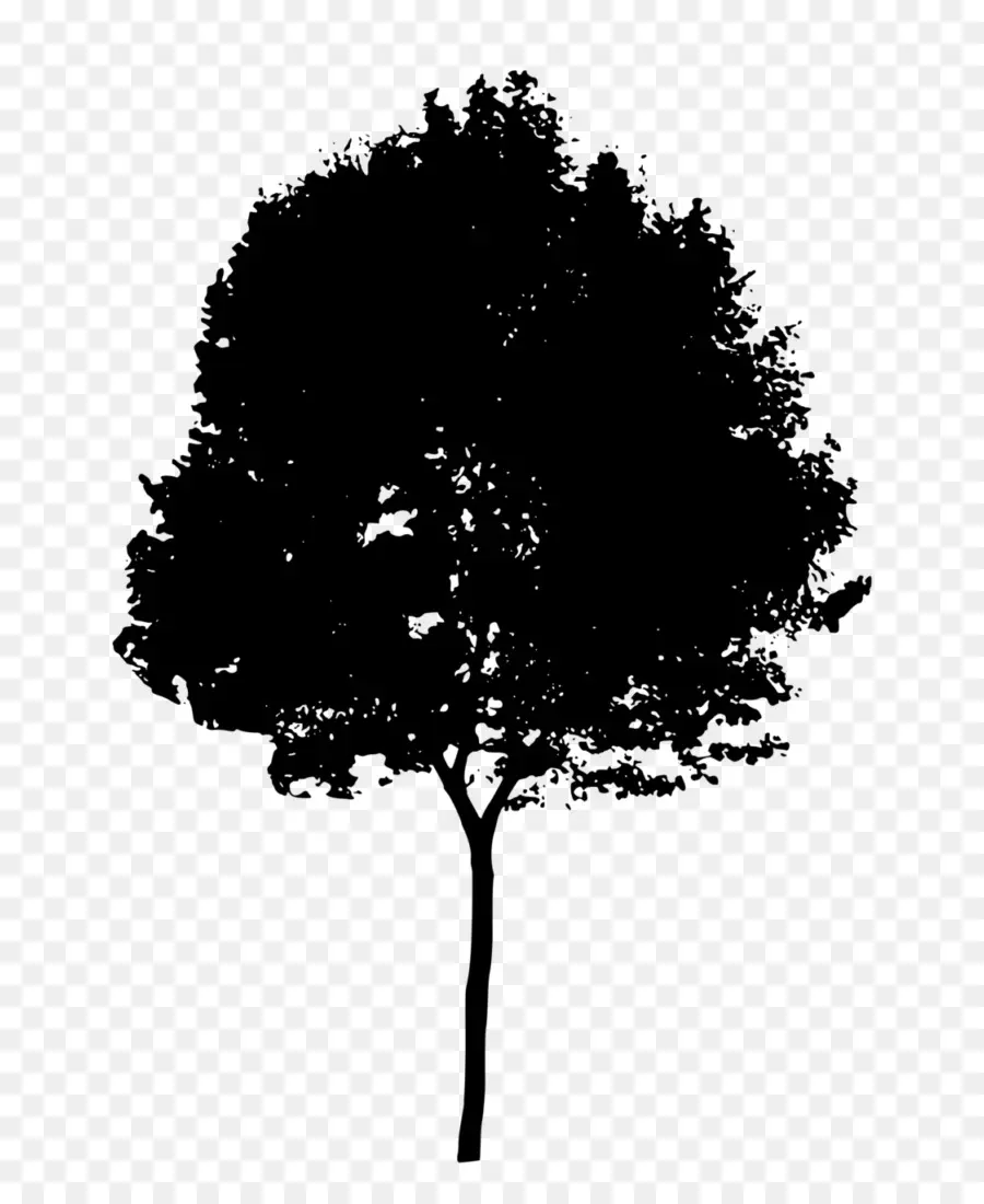 Silueta De árbol Negro，Naturaleza PNG