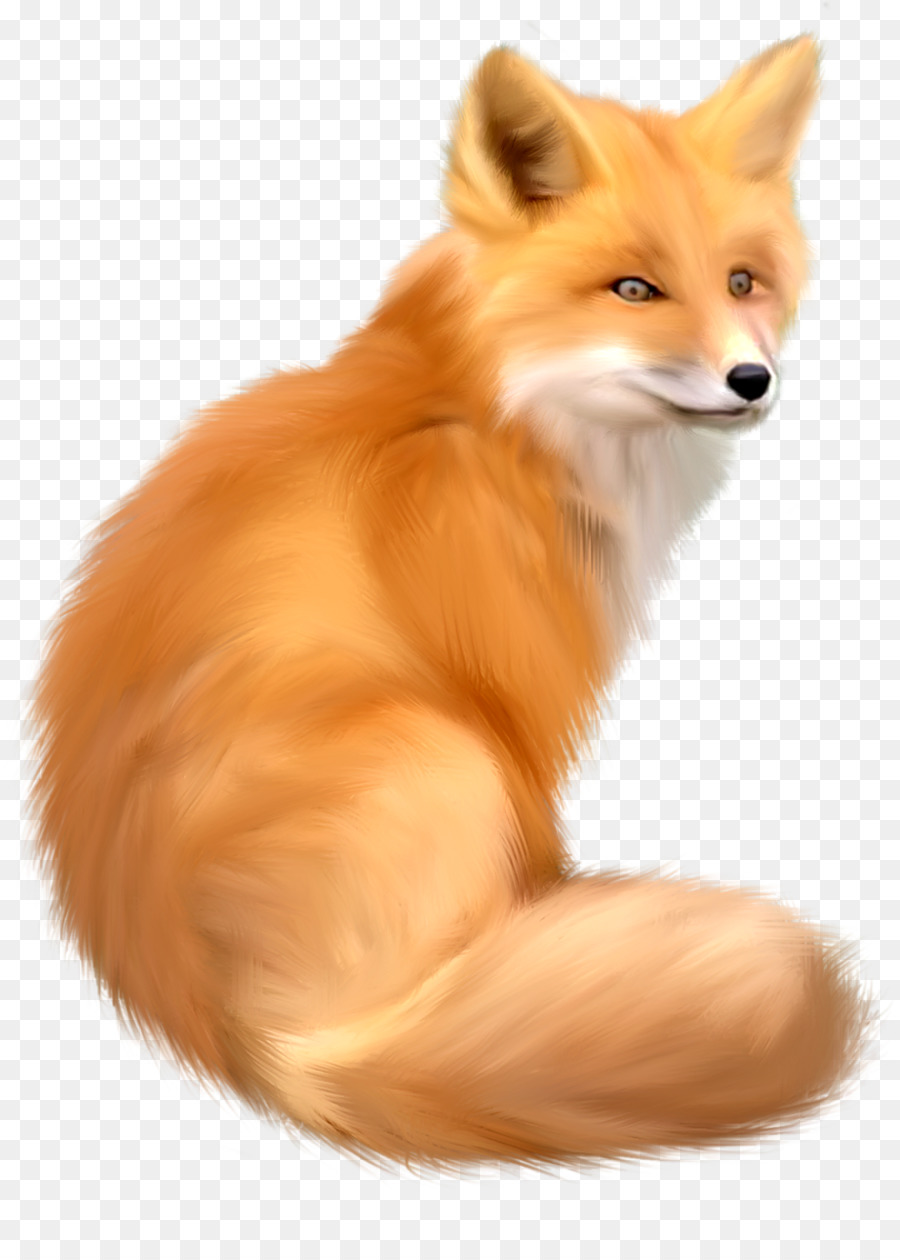 Fox，Iconos De Equipo PNG