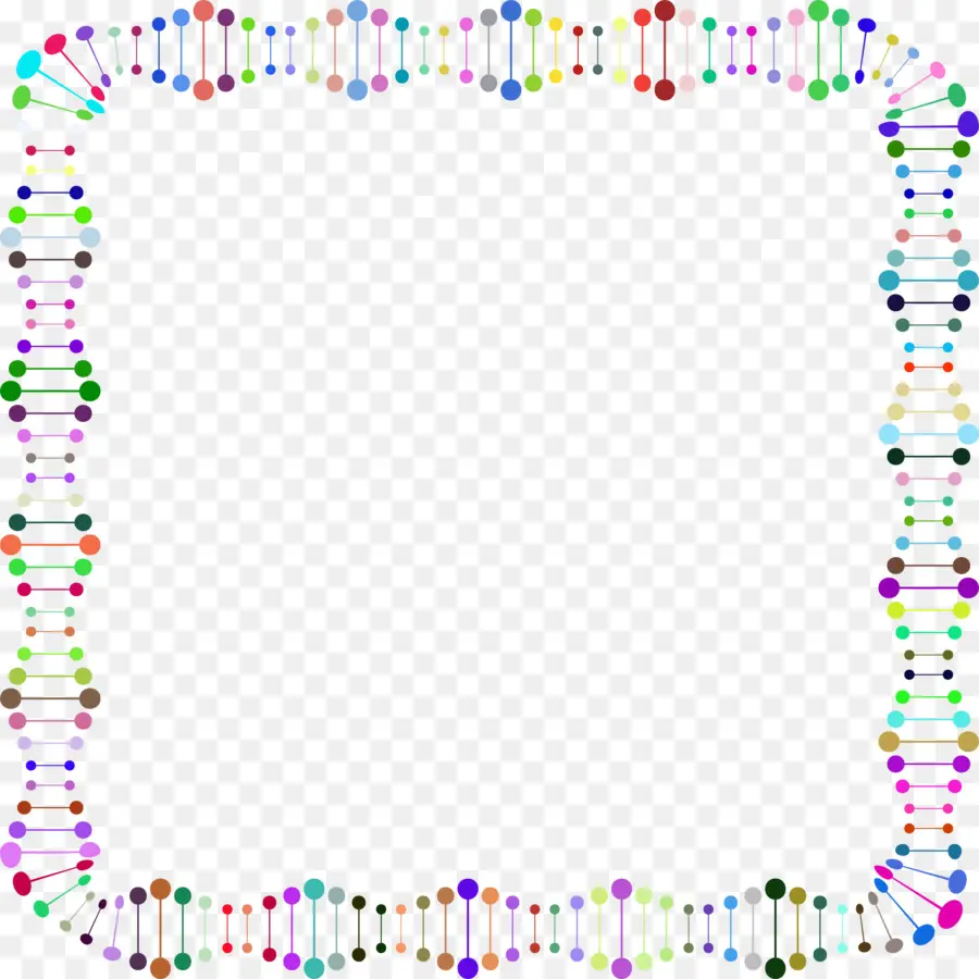 Adn，ácido Nucleico Doble Hélice PNG