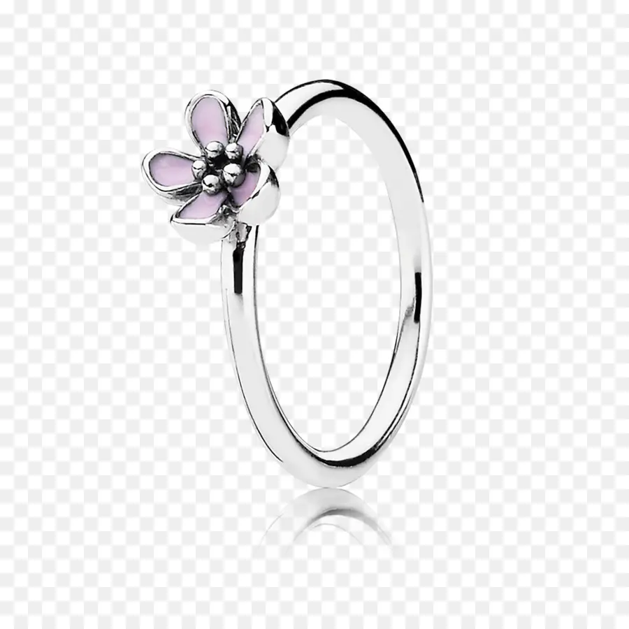 Anillo De Flores，Anillo PNG