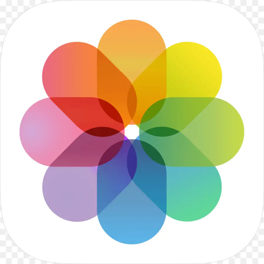 Apple Fotos，Iconos De Equipo PNG