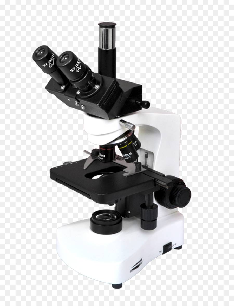 Microscopio，Ciencia PNG