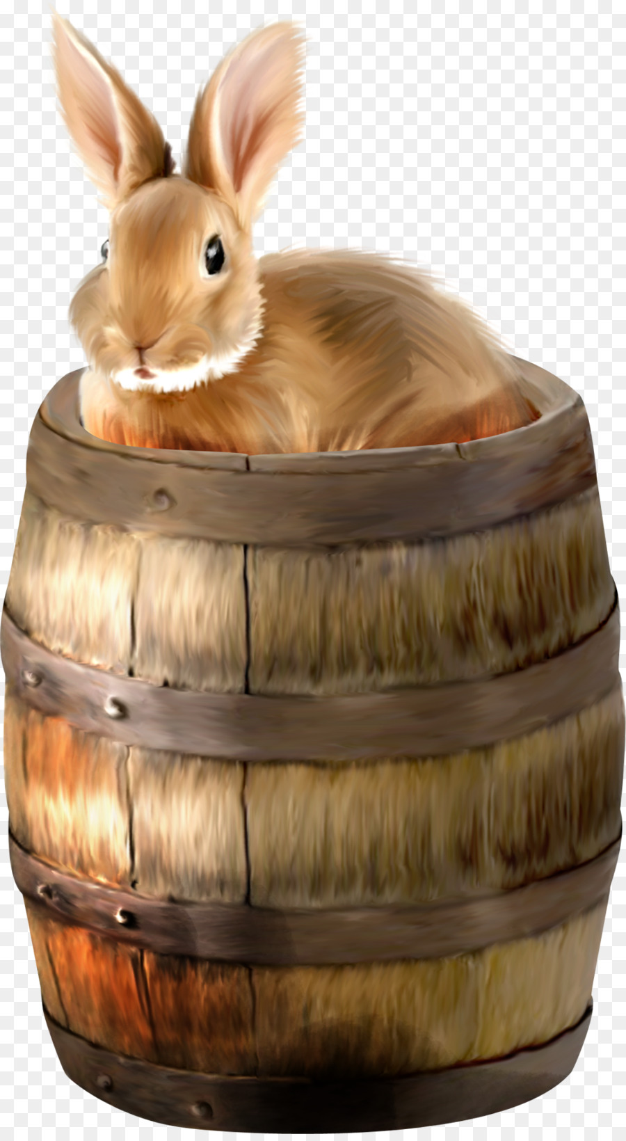 Hare，Conejo PNG