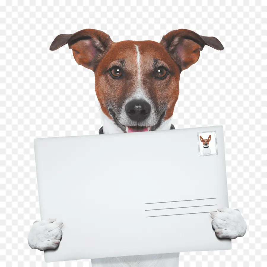 Perro Con Sobre，Correo PNG