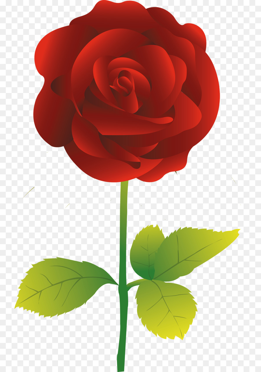 Rosa，Rojo PNG