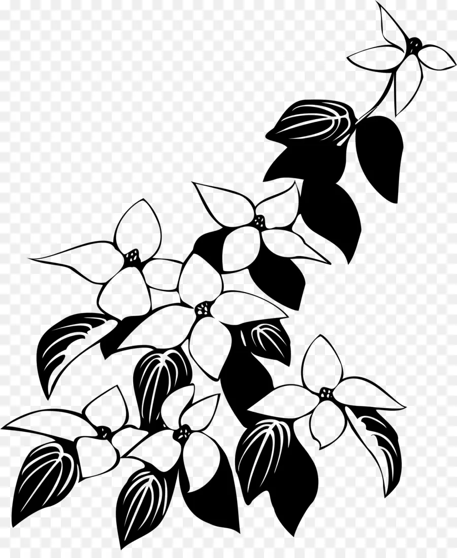 Flores En Blanco Y Negro，Hojas PNG