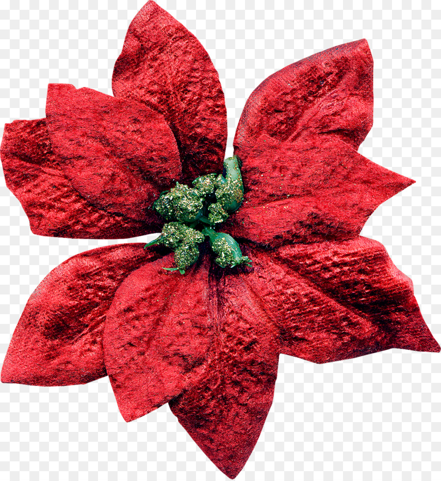 Flor，Decoración De La Navidad PNG