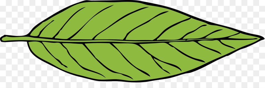 Hoja Verde，Naturaleza PNG