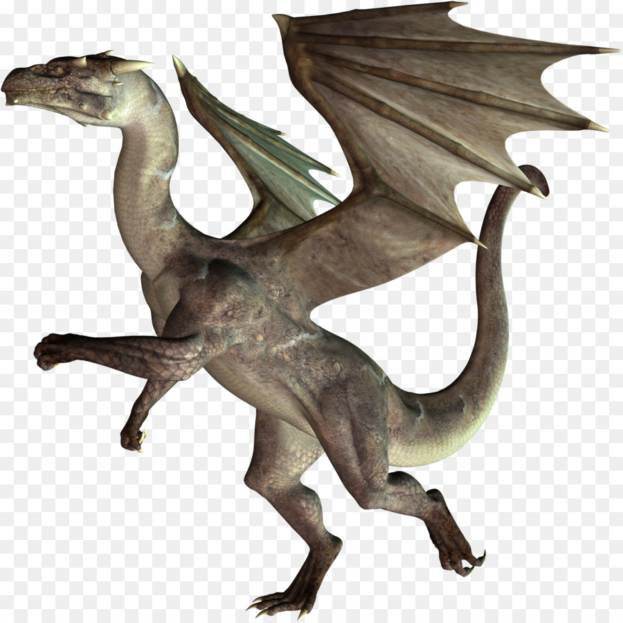 Dragón，La Fotografía PNG