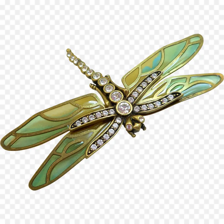 Broche De Libélula，Insecto PNG