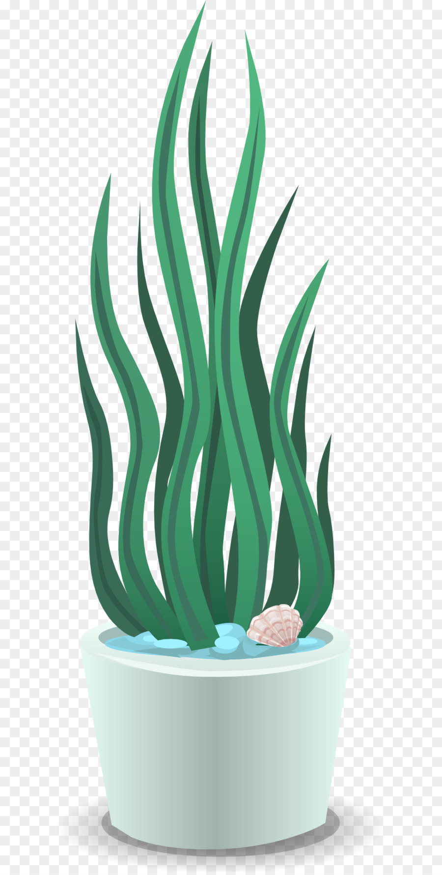 Planta，Maceta PNG