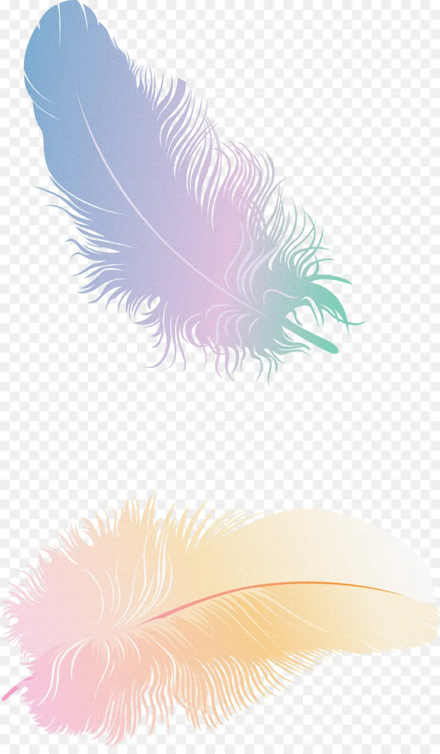 Plumas De Colores，Suave PNG