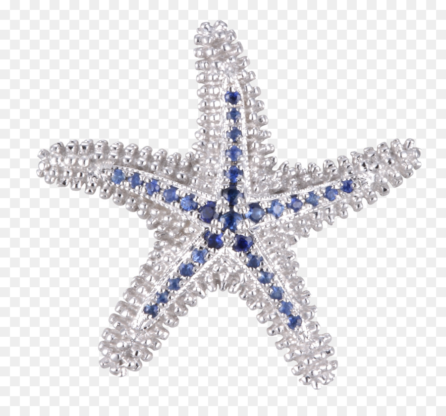 Estrella De Mar Verde，Marina PNG