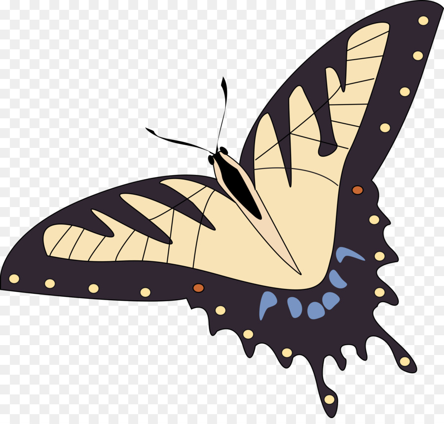 Papillon Perro，Mariposa PNG