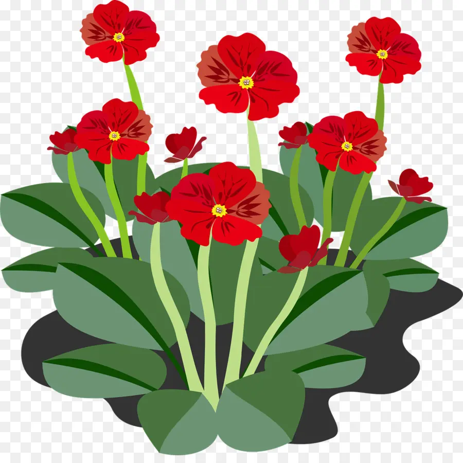 Flores Rojas，Hojas Verdes PNG