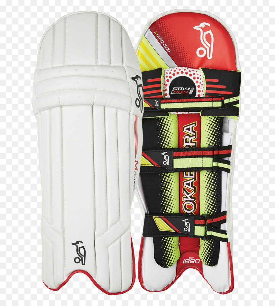 Bates De Cricket，Protector De Espinilla PNG