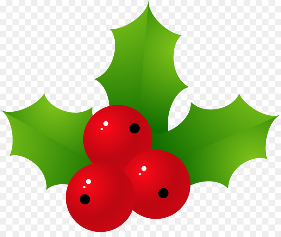 Acebo，Navidad PNG