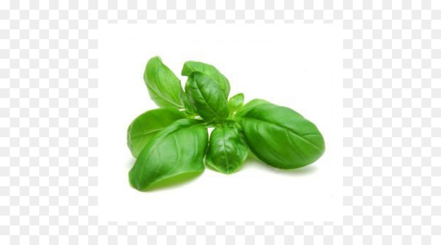 La Albahaca，Pesto PNG