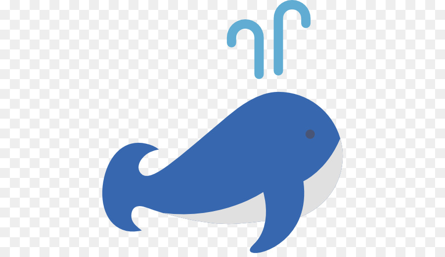 Iconos De Equipo，Dolphin PNG