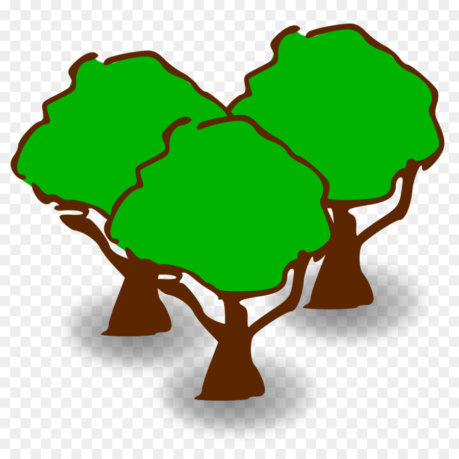 árbol，Planta PNG