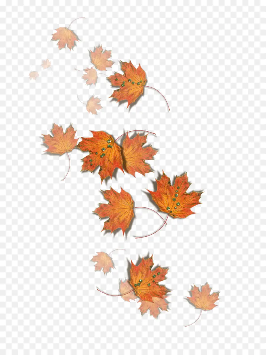 Otoño，Hongo PNG