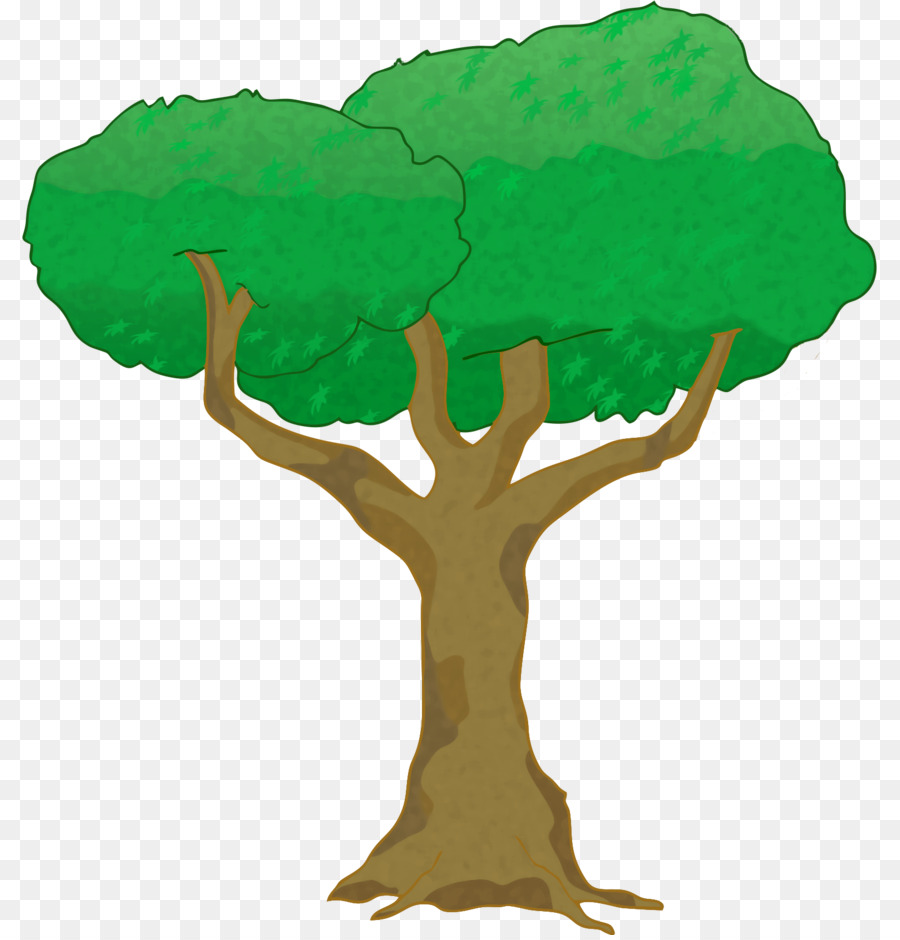 árbol，Planta Leñosa PNG