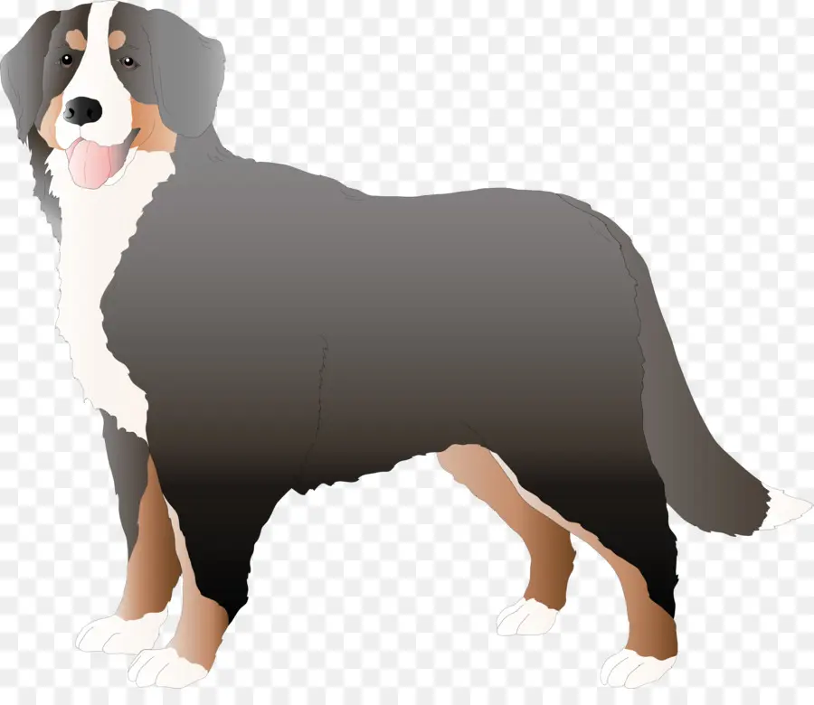 Perro De Montaña De Bernese，Entlebucher Monacia Perro PNG