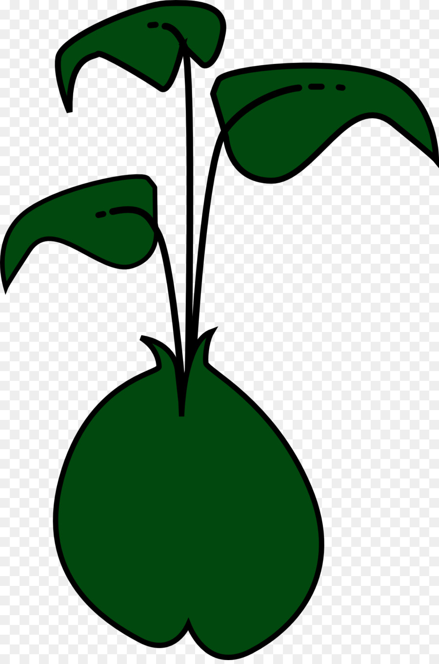 La Germinación，Bean PNG