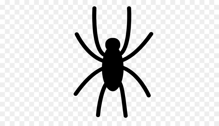 Araña，Iconos De Equipo PNG