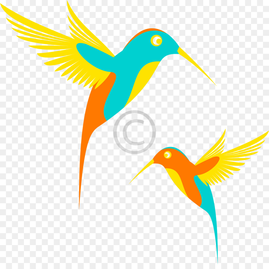 Pájaro，Colibrí PNG