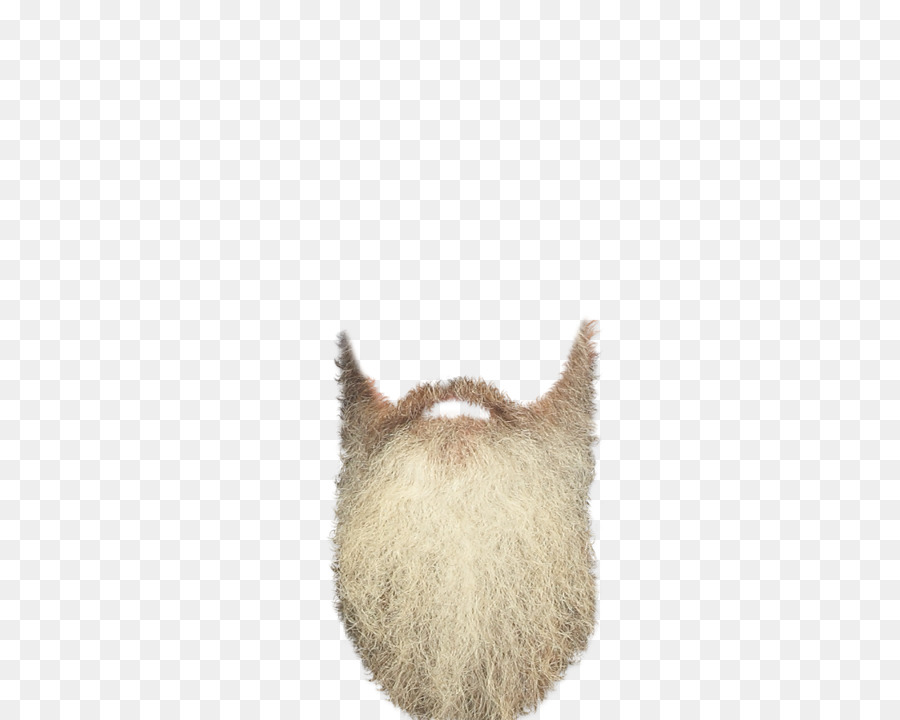 Barba Falsa，Barba PNG